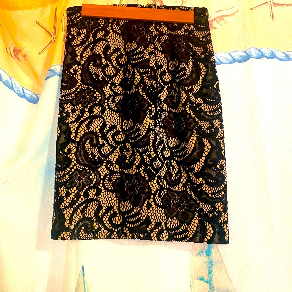 Ann Taylor skirt